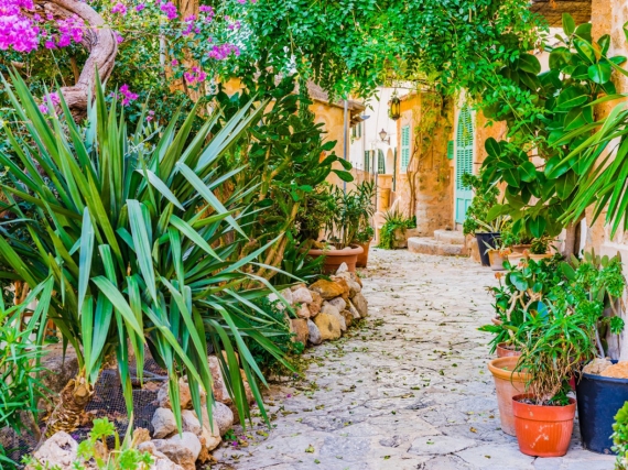 Thiết kế sân vườn phong cách Địa Trung Hải